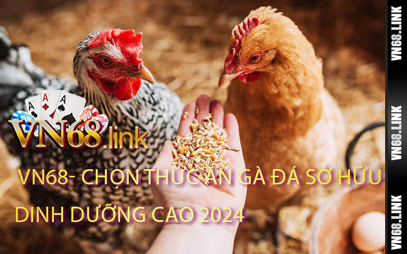 Chọn Thức Ăn Gà Đá Sở Hữu Dinh Dưỡng Cao 2024