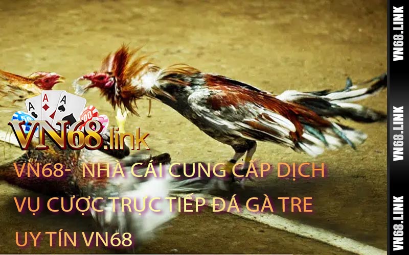 Nhà Cái Cung Cấp Dịch Vụ Cược Trực Tiếp Đá Gà Tre Uy Tín VN68