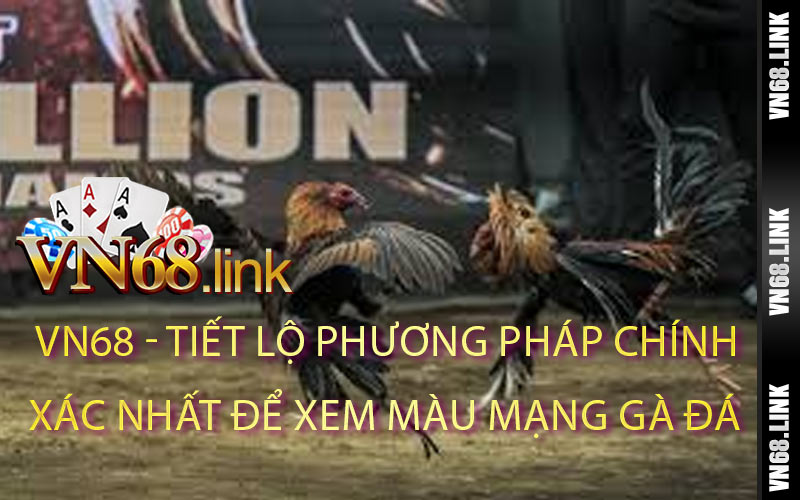 Tiết Lộ Phương Pháp Chính Xác Nhất Để Xem Màu Mạng Gà Đá