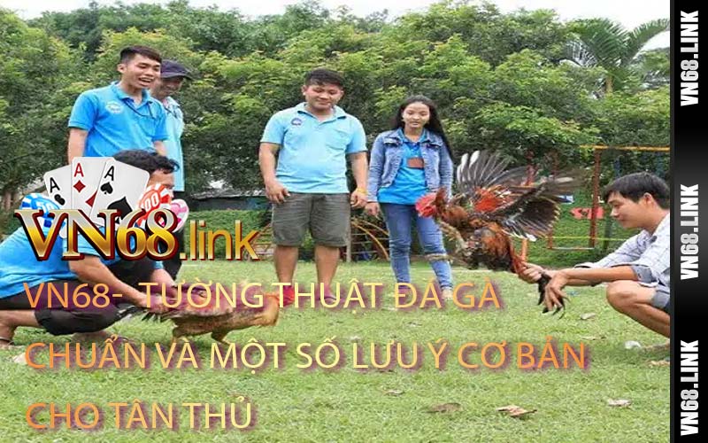 Tường Thuật Đá Gà Chuẩn Và Một Số Lưu Ý Cơ Bản Cho Tân Thủ